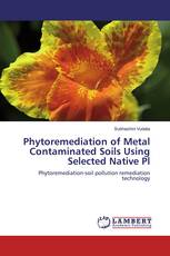 Phytoremediation of Metal Contaminated Soils Using Selected Native Pl