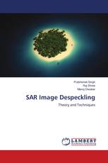 SAR Image Despeckling