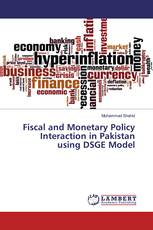 Fiscal and Monetary Policy Interaction in Pakistan using DSGE Model