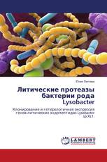 Литические протеазы бактерии рода Lysobacter