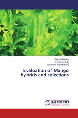 Evaluation of Mango hybrids and selections