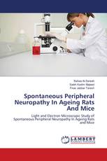 Spontaneous Peripheral Neuropathy In Ageing Rats And Mice