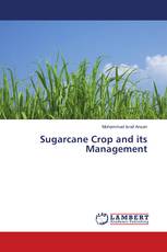 Sugarcane Crop and its Management