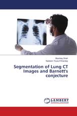 Segmentation of Lung CT Images and Barnett's conjecture