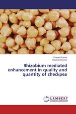 Rhizobium mediated enhancement in quality and quantity of checkpea