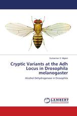 Cryptic Variants at the Adh Locus in Drosophila melanogaster