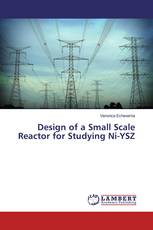 Design of a Small Scale Reactor for Studying Ni-YSZ