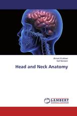 Head and Neck Anatomy