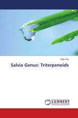 Salvia Genus: Triterpenoids