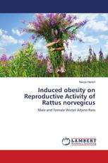 Induced obesity on Reproductive Activity of Rattus norvegicus