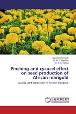 Pinching and cycocel effect on seed production of African marigold