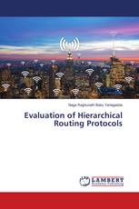 Evaluation of Hierarchical Routing Protocols