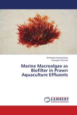 Marine Macroalgae as Biofilter in Prawn Aquaculture Effluents