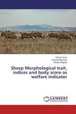 Sheep Morphological trait, indices and body score as welfare indicator