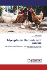 Mycoplasma Recombinant vaccine