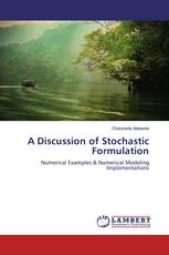 A Discussion of Stochastic Formulation