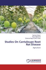 Studies On Cantaloupe Root Rot Disease