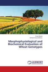 Morphophysiological and Biochemical Evaluation of Wheat Genotypes