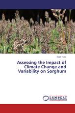 Assessing the Impact of Climate Change and Variability on Sorghum