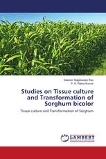 Studies on Tissue culture and Transformation of Sorghum bicolor