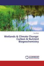 Wetlands & Climate Change: Carbon & Nutrient Biogeochemistry