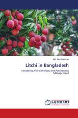 Litchi in Bangladesh