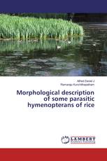 Morphological description of some parasitic hymenopterans of rice