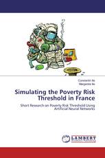 Simulating the Poverty Risk Threshold in France