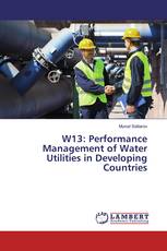 W13: Performance Management of Water Utilities in Developing Countries