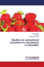 Studies on somaclonal variations in strawberry cv.Chandler