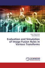 Evaluation and Simulation of Image Fusion Rules in Various Transforms