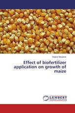 Effect of biofertilizer application on growth of maize