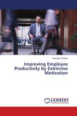 Improving Employee Productivity by Extrinsive Motivation