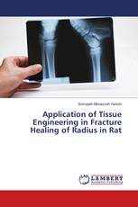 Application of Tissue Engineering in Fracture Healing of Radius in Rat