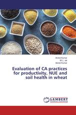 Evaluation of CA practices for productivity, NUE and soil health in wheat