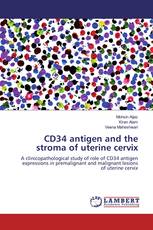 CD34 antigen and the stroma of uterine cervix