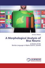 A Morphological Analysis of Bisa Nouns: