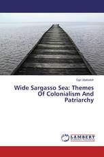 Wide Sargasso Sea: Themes Of Colonialism And Patriarchy