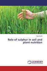 Role of sulphur in soil and plant nutrition