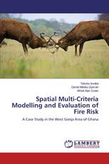 Spatial Multi-Criteria Modelling and Evaluation of Fire Risk