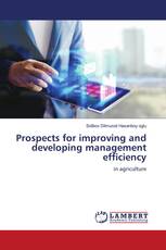 Prospects for improving and developing management efficiency
