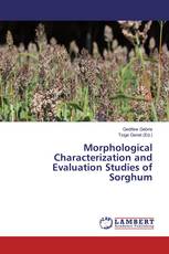 Morphological Characterization and Evaluation Studies of Sorghum