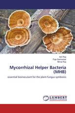 Mycorrhizal Helper Bacteria (MHB)