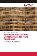 Evolución del Sistema Constructivo del Muro Tendinoso