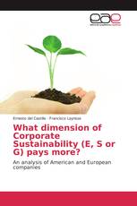 What dimension of Corporate Sustainability (E, S or G) pays more?