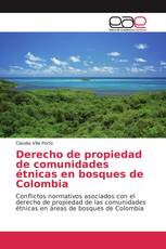 Derecho de propiedad de comunidades étnicas en bosques de Colombia
