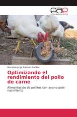 Optimizando el rendimiento del pollo de carne