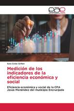Medición de los indicadores de la eficiencia económica y social
