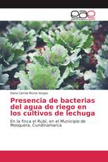 Presencia de bacterias del agua de riego en los cultivos de lechuga