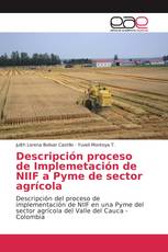 Descripción proceso de Implemetación de NIIF a Pyme de sector agrícola